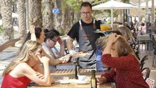 Alicante bate su récord de empleo con 749.758 afiliados a la Seguridad Social empujada por el turismo
