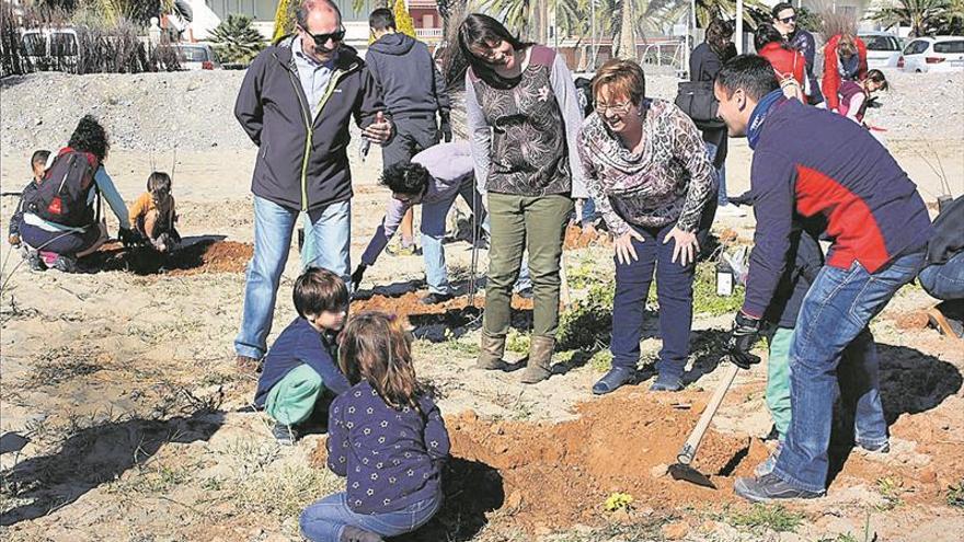 Personal de UBE repuebla la playa con vegetación dunar