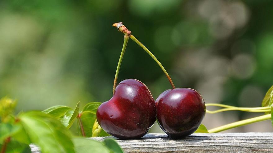 El aviso de un agricultor sobre el riesgo de comer cerezas sin fijarte en este detalle: &quot;Cuidado&quot;