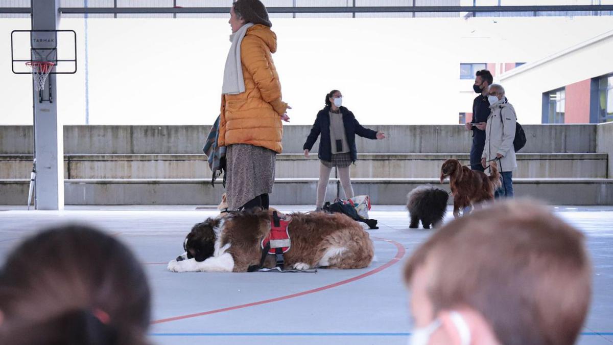 Perros de terapia muestran sus habilidades en el Vila de Rutis | LA OPINIÓN