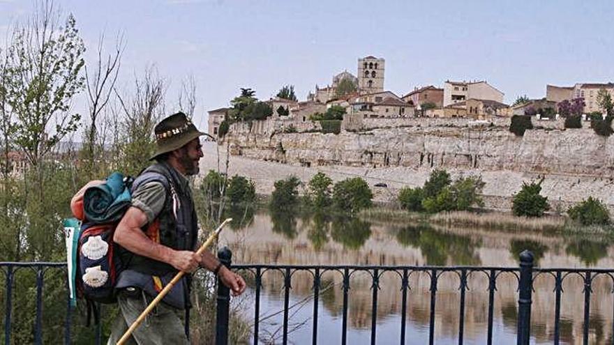 Un peregrino atraviesa el Puente de Piedra con la postal de la Zamora románica de fondo.