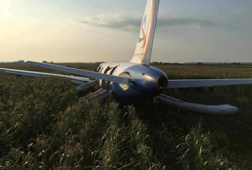 Un avió realitza un aterratge d'emergència en un camp de blat de moro prop de Moscou
