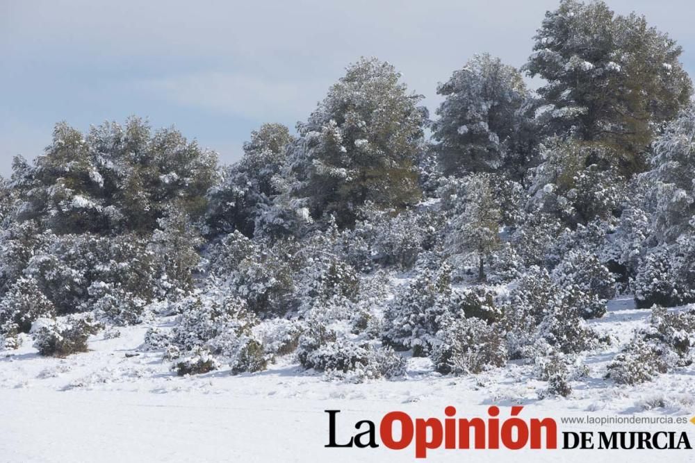 Nieve en el Noroeste