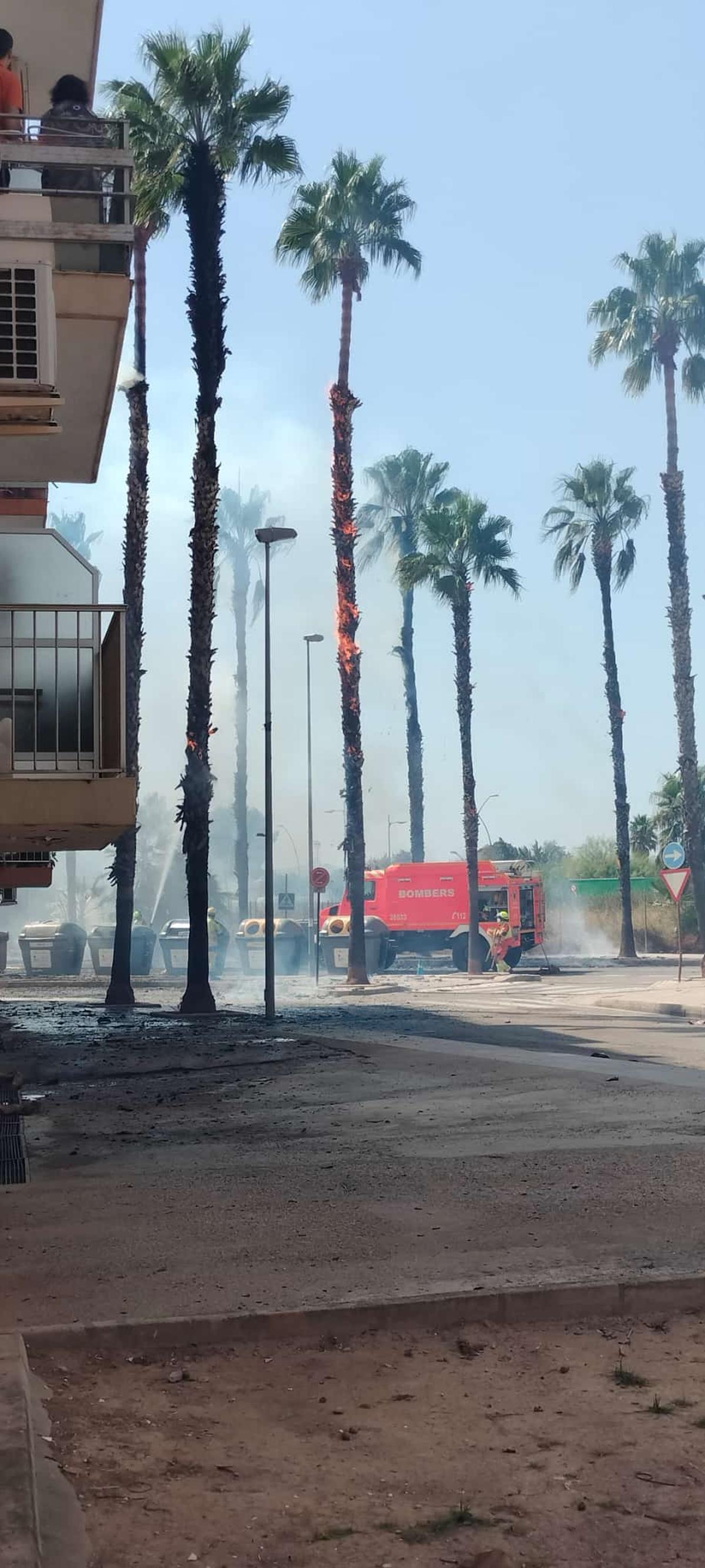 Una de las palmeras en llamas junto a los edificios de la calle Sueca.
