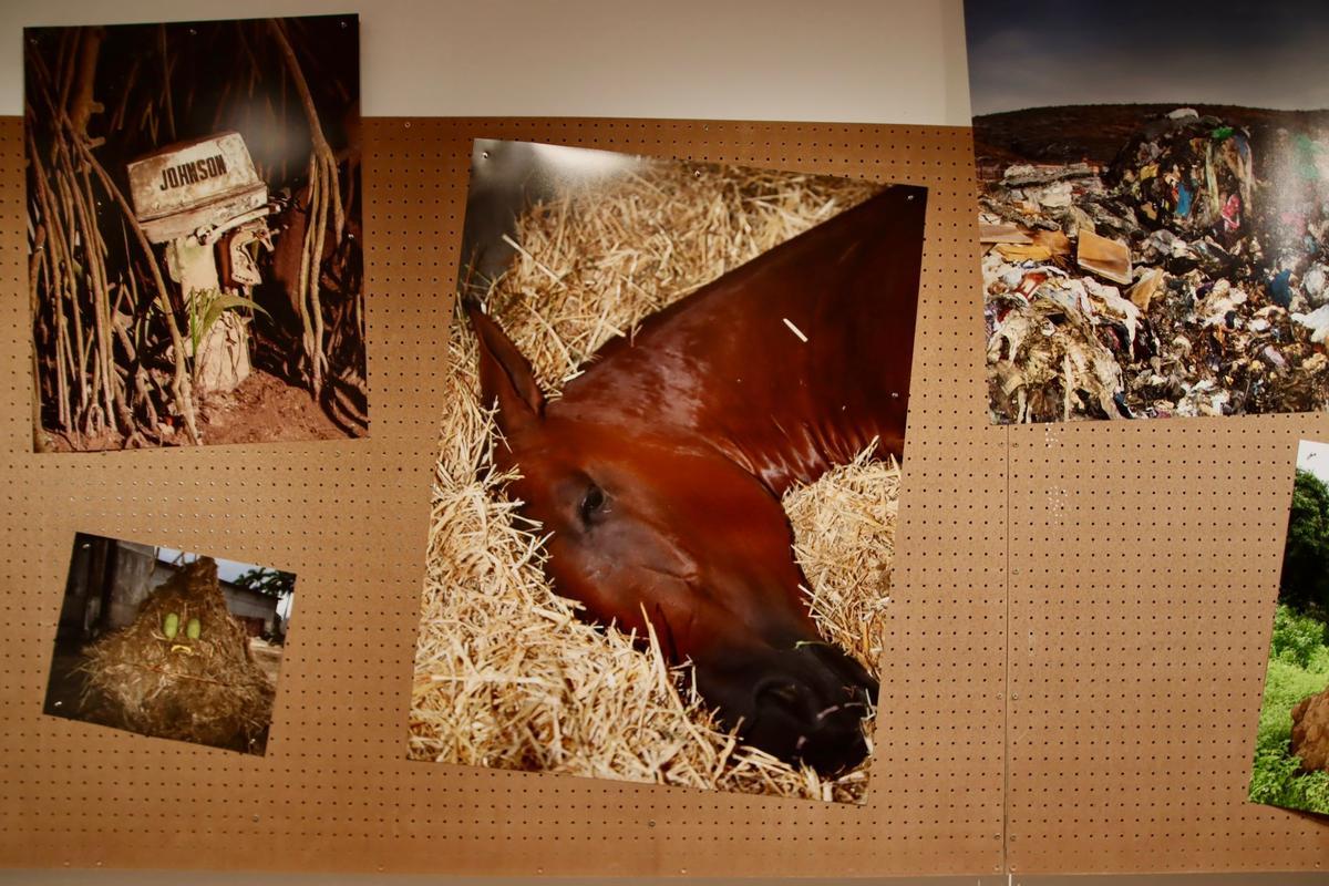 La fotógrafa Cristina de Middel inaugura su exposición 'Apoteosis Now' en el IVAM