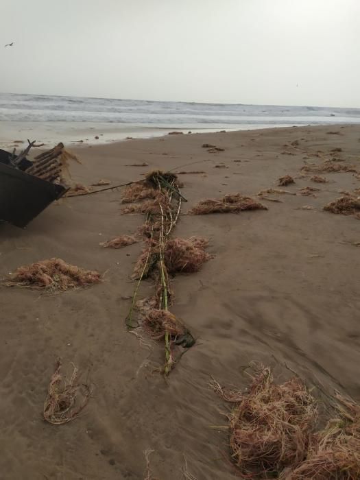 Daños por el temporal en El Campello