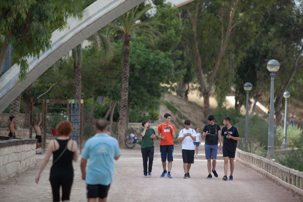 Pokémon Go conquista las calles de Elche