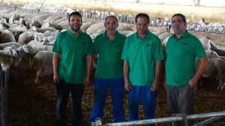 Los socios fundadores posan junto a las ovejas de la explotación. Foto