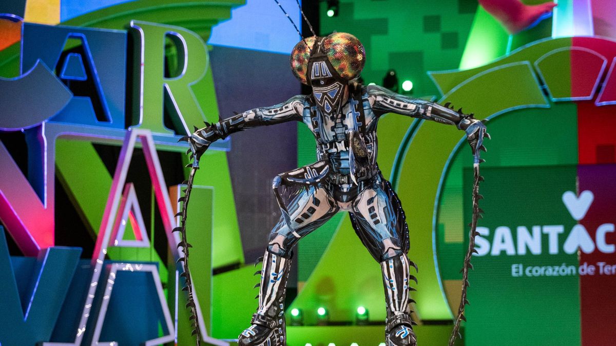 Un momento del concurso de disfraces del Carnaval de Santa Cruz de Tenerife 2024