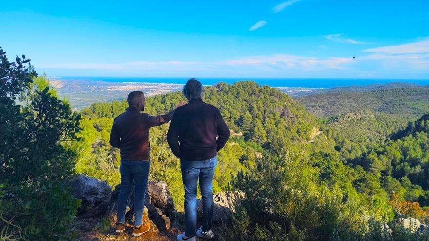 Vilallonga demana ajuda a la Diputació per a retirar de les muntanyes centenars de pins secs