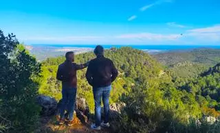 Vilallonga demana ajuda a la Diputació per a retirar de les muntanyes centenars de pins secs