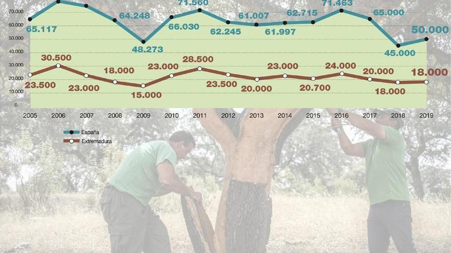 La sequía reduce la producción de corcho por debajo de la previsión