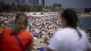 Los buses a la playa de Barcelona y su área se rearman para atajar las quejas vecinales por colapsos
