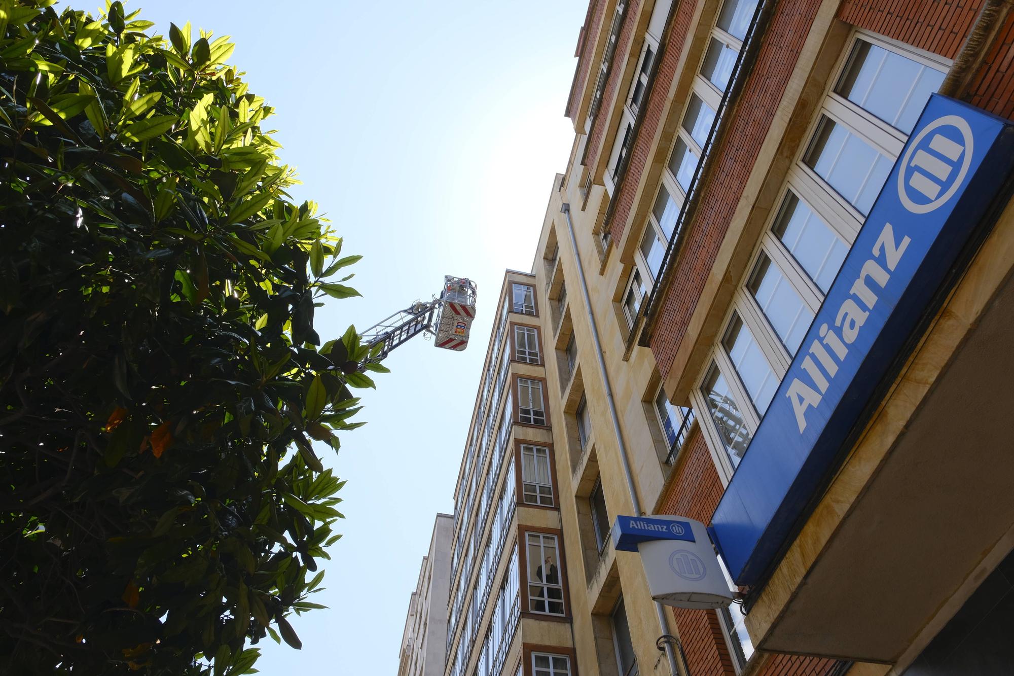 Alarme en la calle Uría de Oviedo por la caída de cascotes en plena vía pública