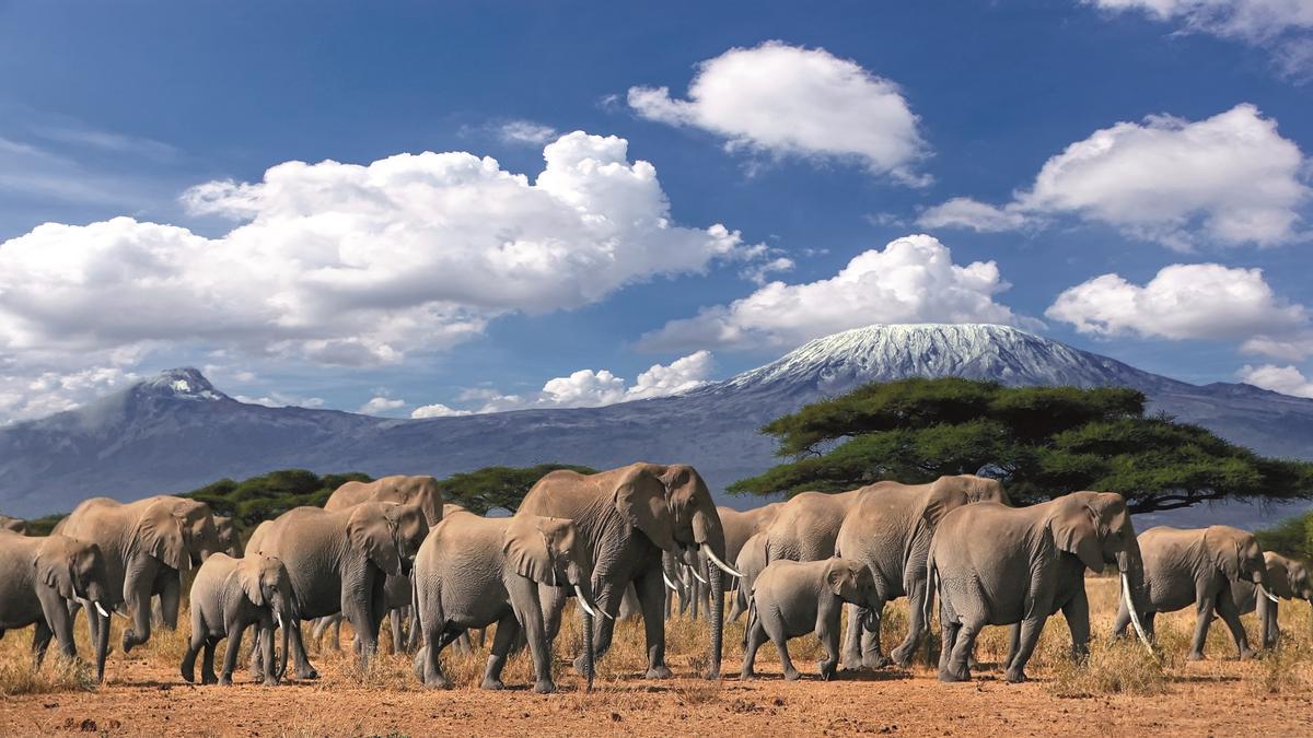 El viajazo del año: Tanzania y Kenia junto a Juan Luis Arsuaga