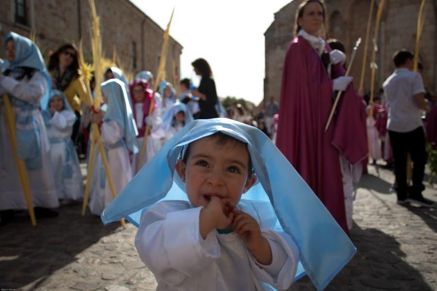 Semana Santa en Zamora: La Borriquita