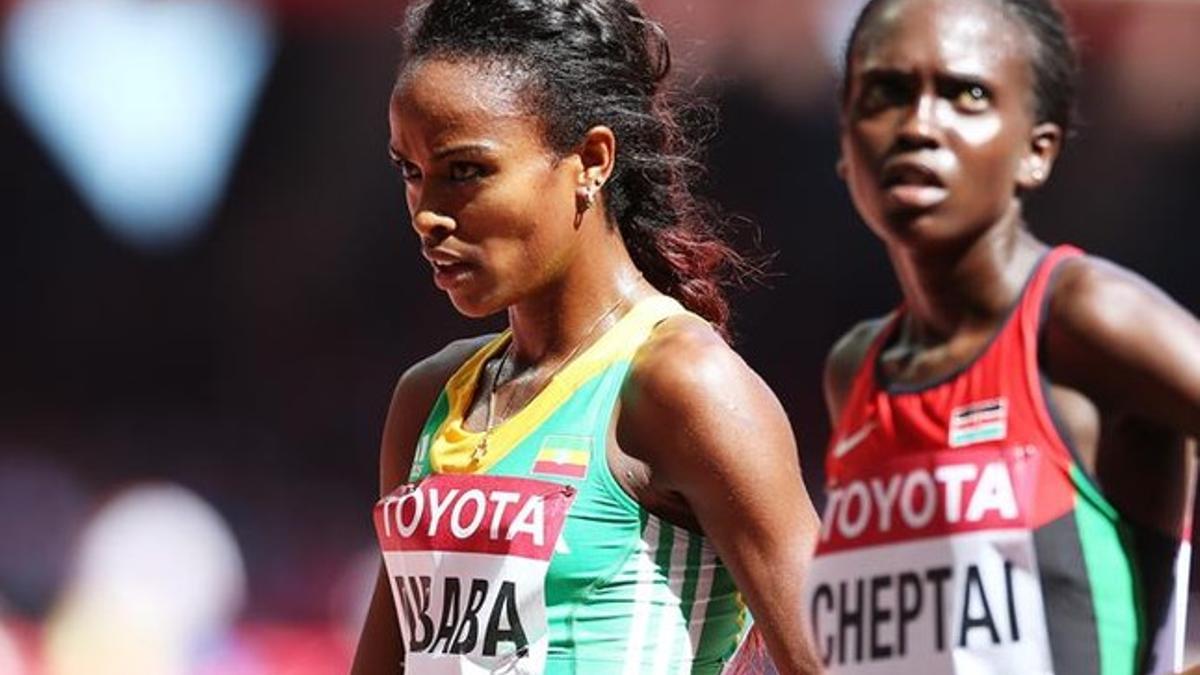 Genzebe Dibaba tiene una cita con la historia