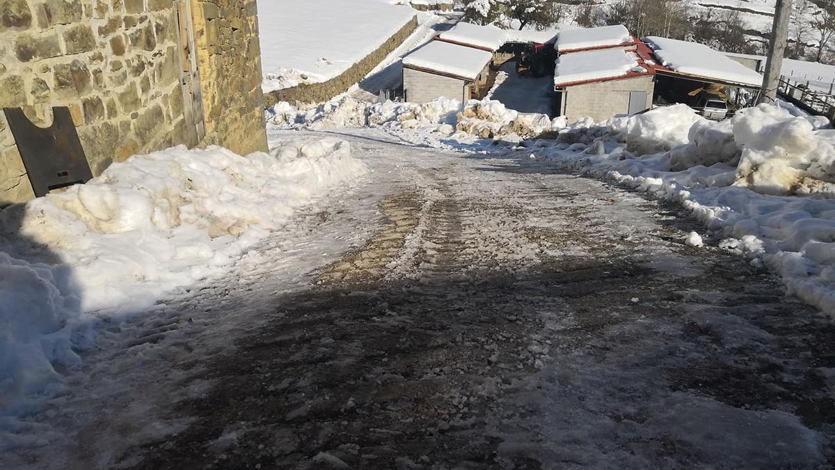 Camino helado en Ponga.