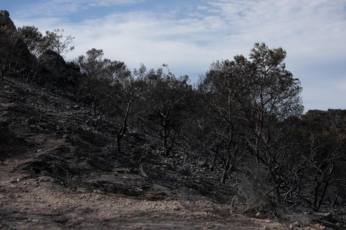 Algunos de los momentos más destacados de esta mañana en el incendio de Cabo Tiñoso. Algunos de los momentos más destacados de esta mañana en el incendio de Cabo Tiñoso.
