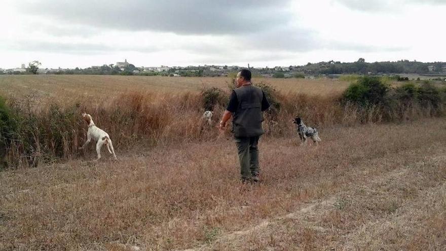 Un cazador efectúa un rececho con escopeta y con auxilio de sus dos perros la temporada pasada.