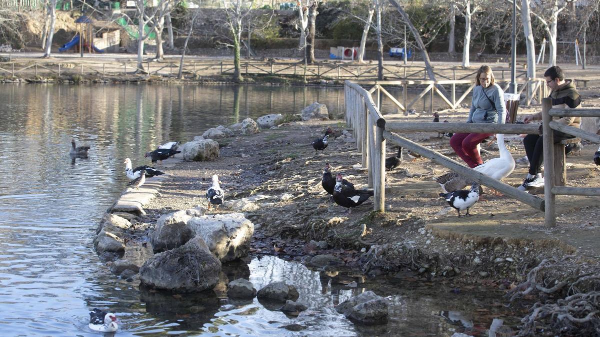 Visitantes junto un grupo de aves en la Albufera de Anna, en una imagen de archivo.