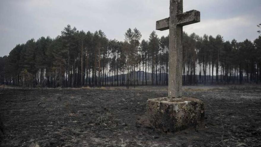 Terreno ardido el domingo en Lucenza, Serra do Larouco. // Brais Lorenzo