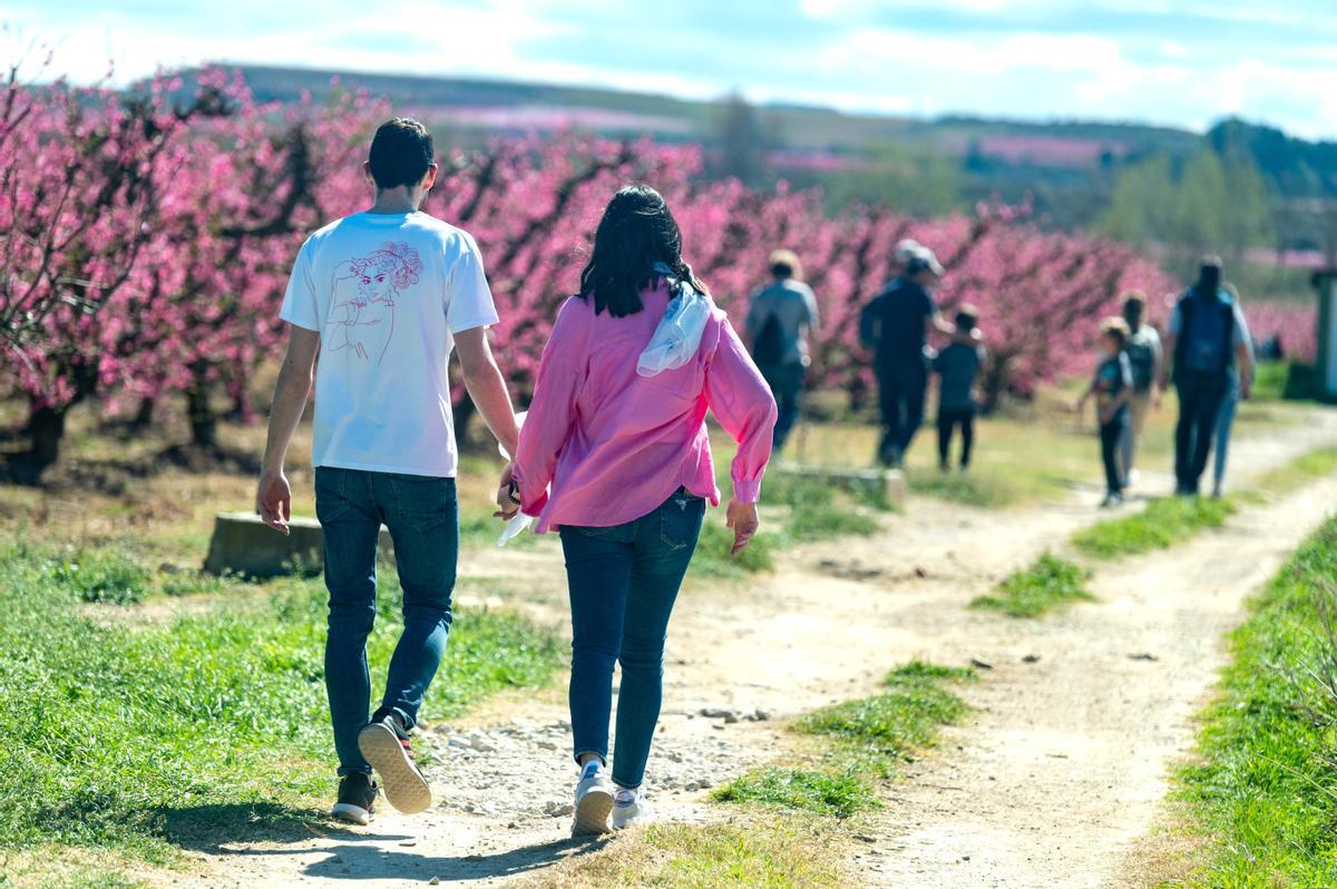 El espectáculo de la floración de los frutales en el Baix Segria, Lleida