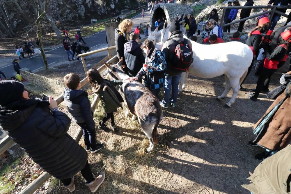 El Campamento Real atrae a más de 20.000 personas