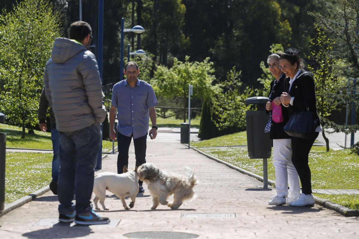 Vecinos con sus mascotas a la entrada del bosque de La Grandiella en una imagen de archivo.