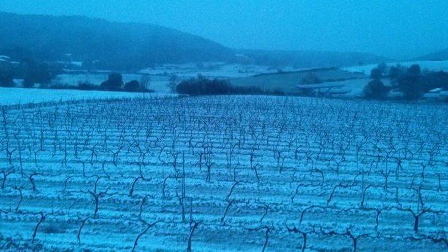 La Llacuna, a l&#039;Anoia, es veia ben emblanquida ahir al matí