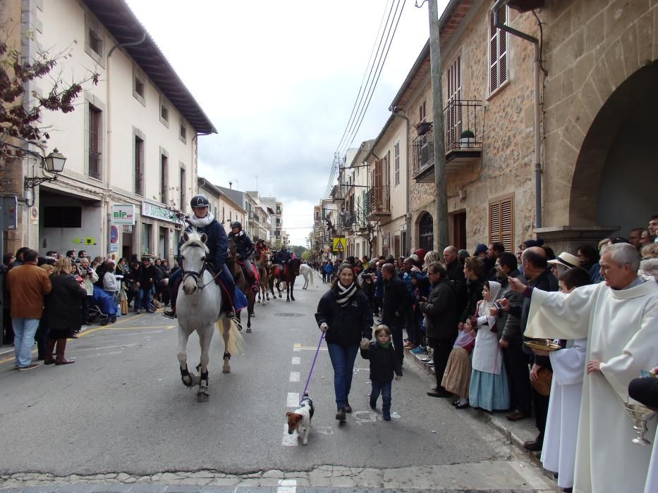 Tiersegnungen Mallorca