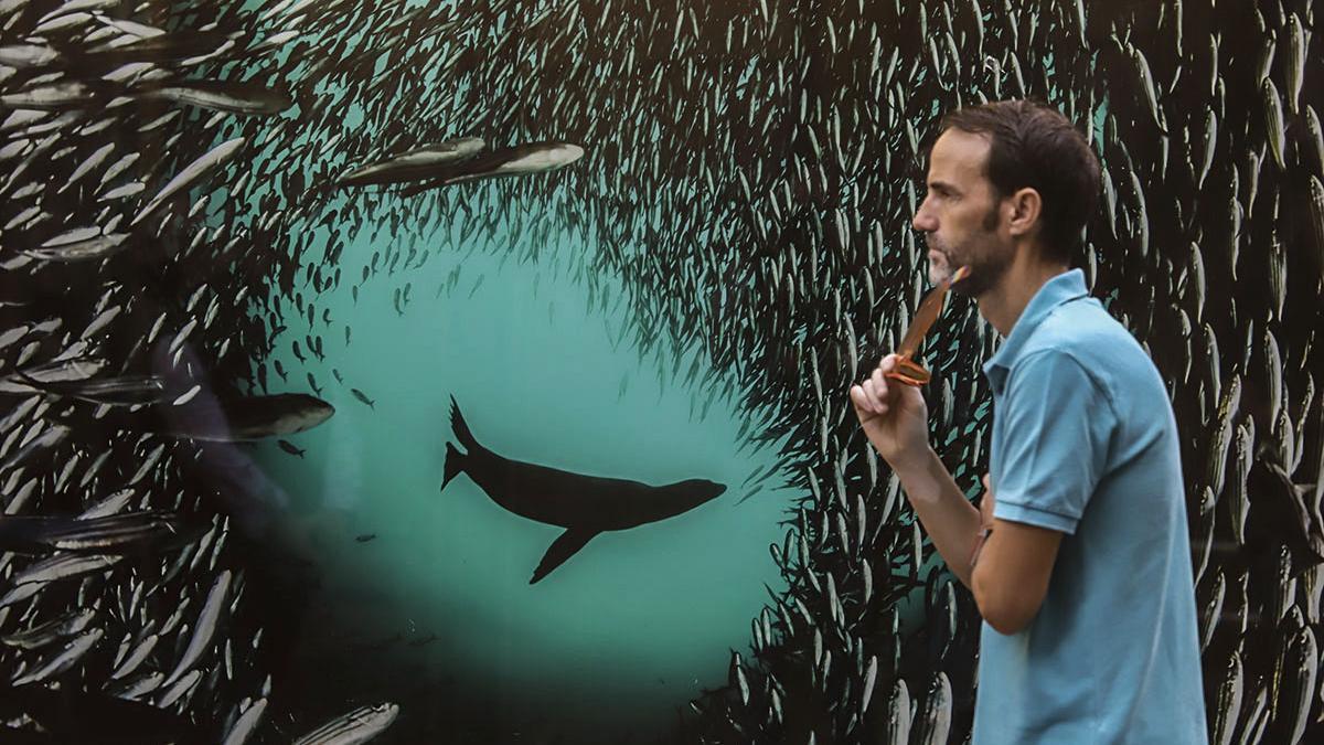 Las fotos de National Geographic en la Bienal de Córdoba