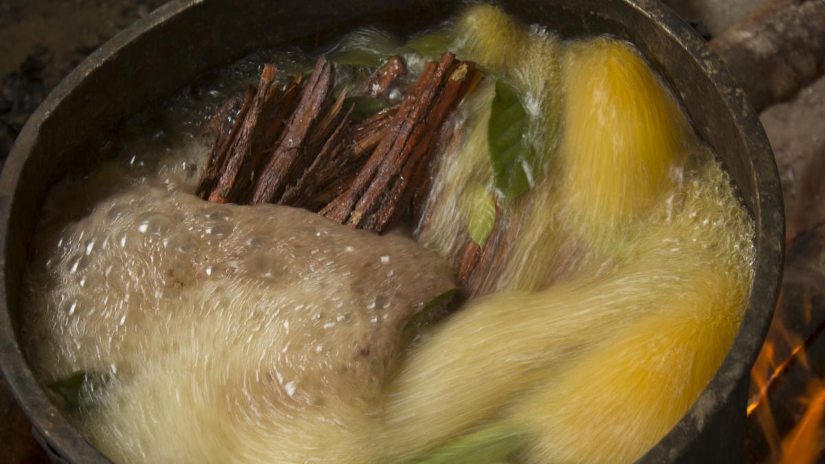 Preparación de ayahuasca con chacruna en la selva amazónica.