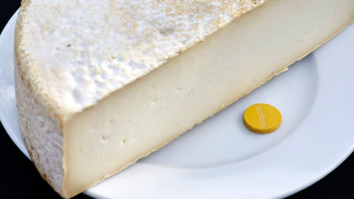 Ninot (Sant Gil d'Albió), Mejor Queso Artesano de Catalunya 2026.