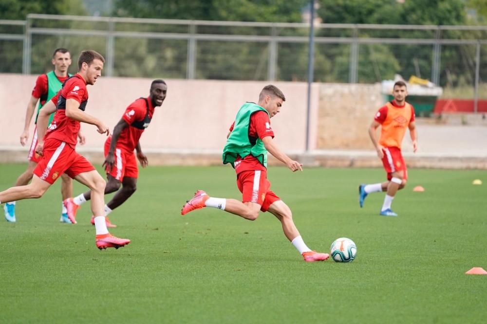 Entrenamiento del Malloca en Son Bibiloni