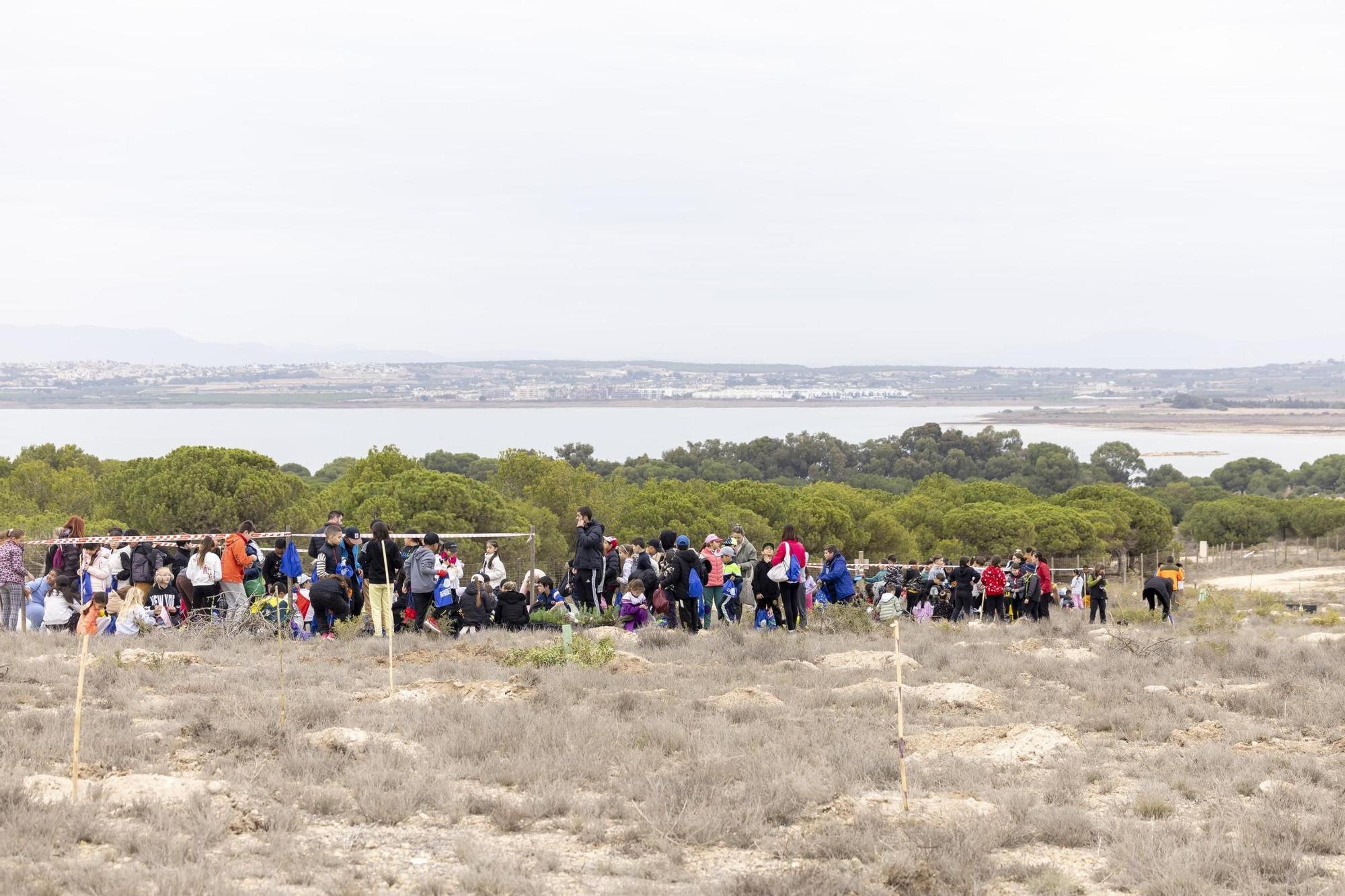 800 escolares se implican en la celebración del Día del Árbol con la plantación de especies autóctonas en torno a la laguna de La Mata de Torrevieja