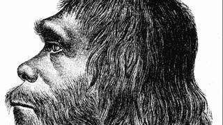Los primeros humanos modernos modificaron el genoma de los neandertales hace más de 250.000 años