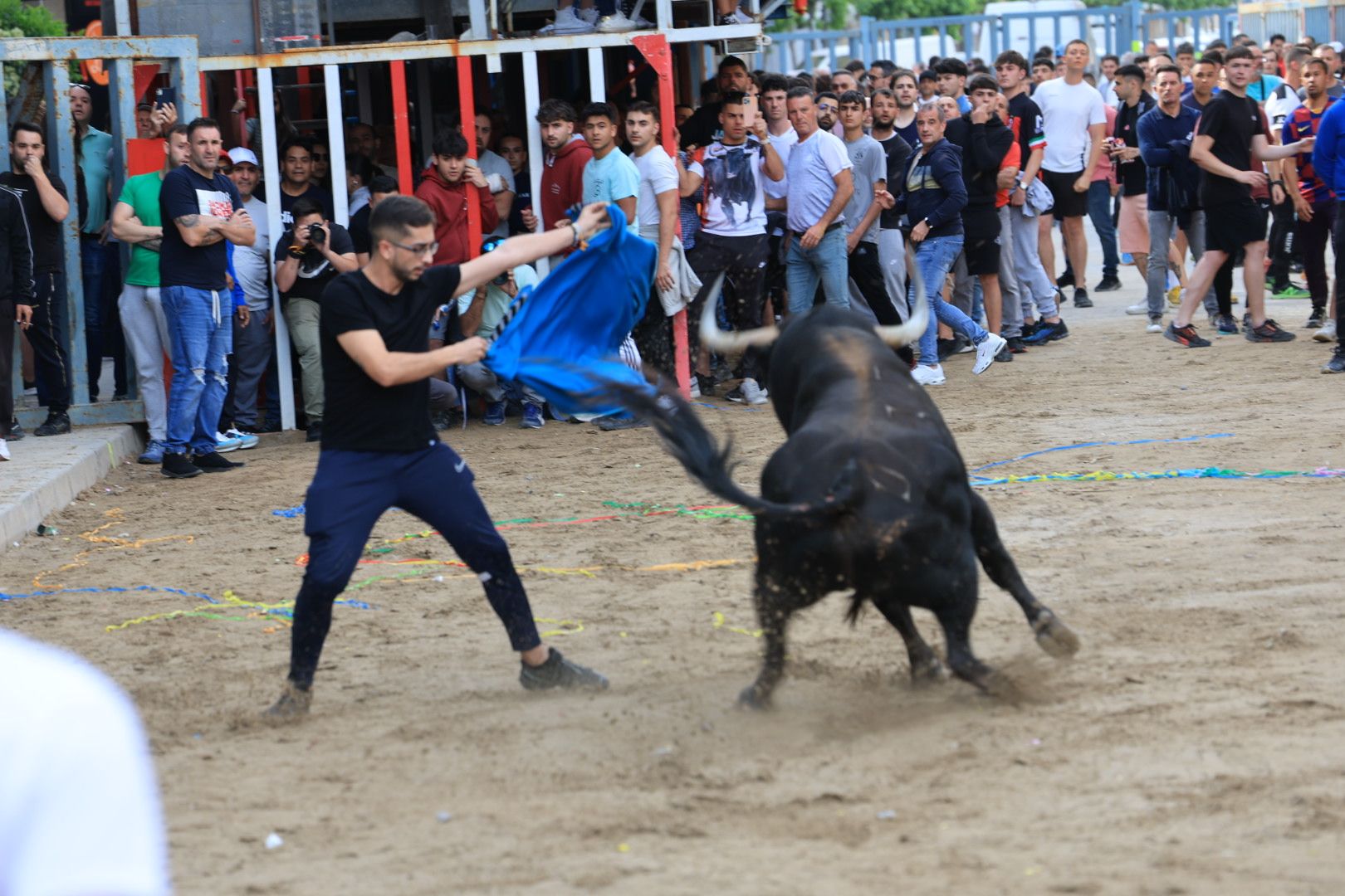 Fotos de la tarde taurina del jueves de las fiestas de Sant Pasqual en Vila-real