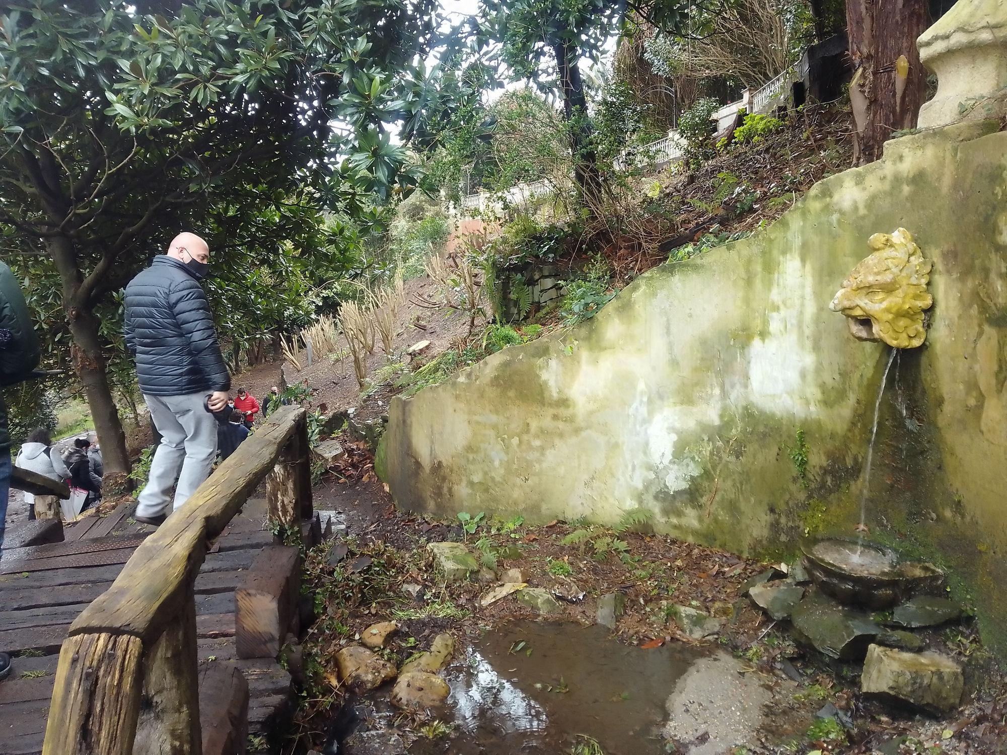 bosque jardín.jpg