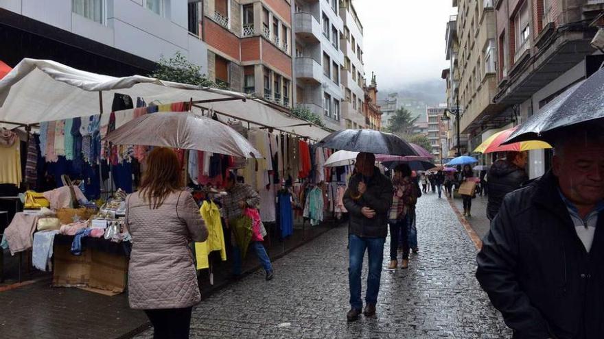 Puestos en el mercado dominical de Mieres.