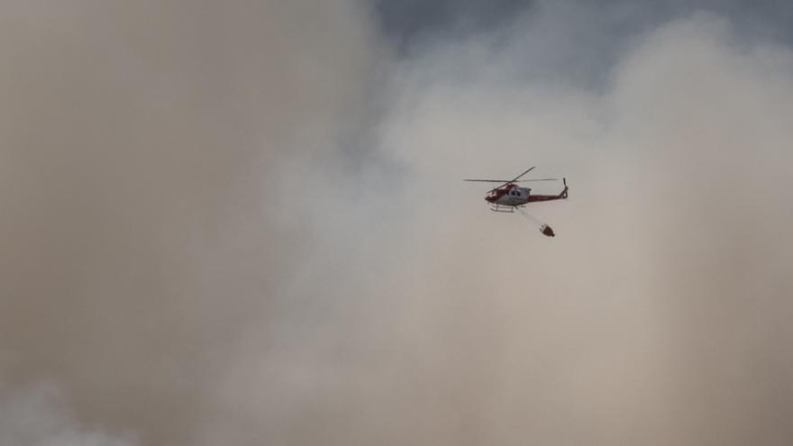 Incendio forestal en Arico