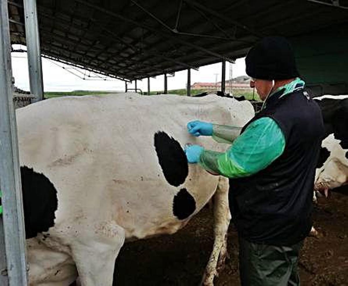 "Nosotros a lo nuestro, a producir alimentos"