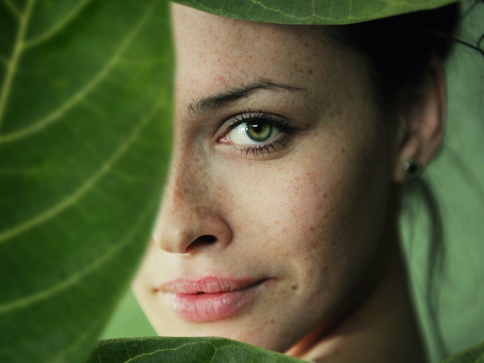 Los beneficios de una hoja de laurel en la belleza