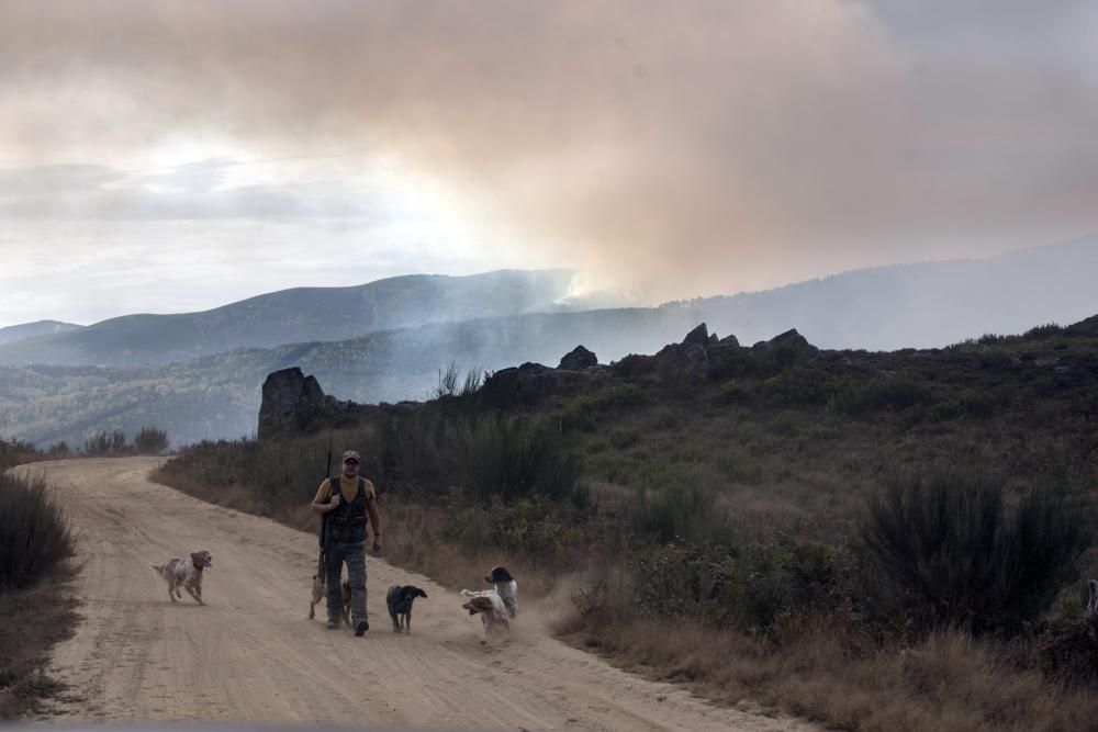 Incendios en Galicia | Fuegos en Ourense