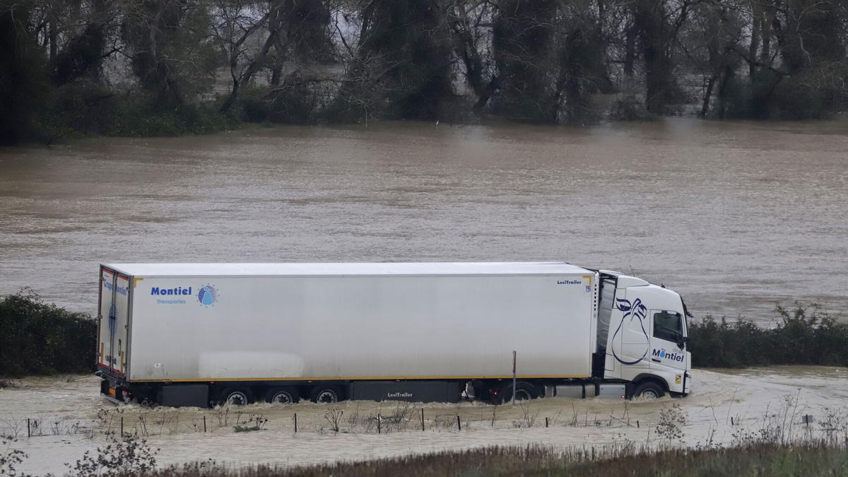 Un camión circula con el agua cubriéndole las ruedas por las márgenes inundadas del río Guadairo.