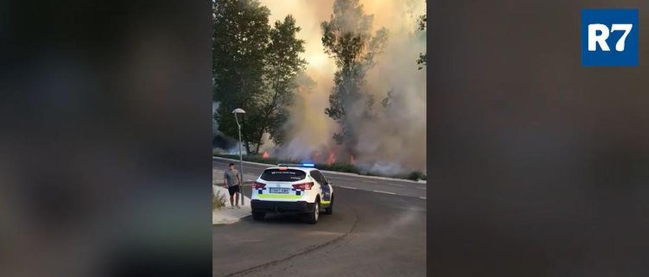 Incendi al voral de la urbanització Marquet Paradís