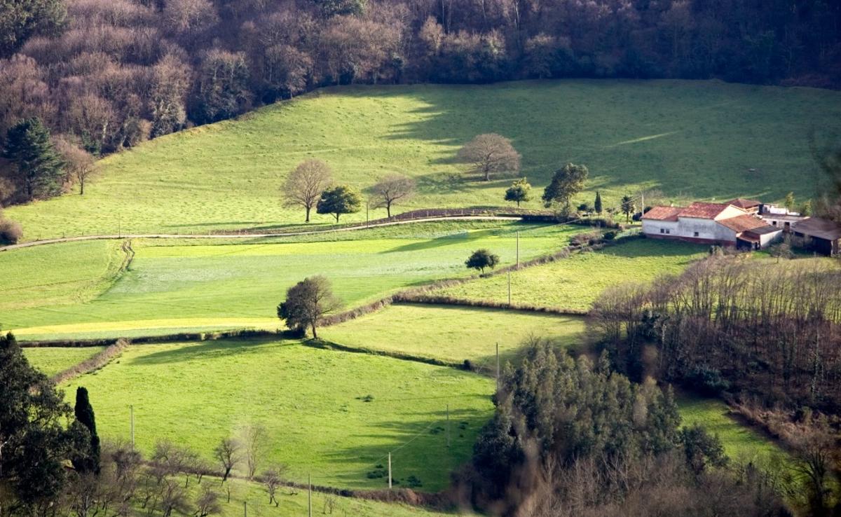 Un camino en la zona de praderías de Bonielles.