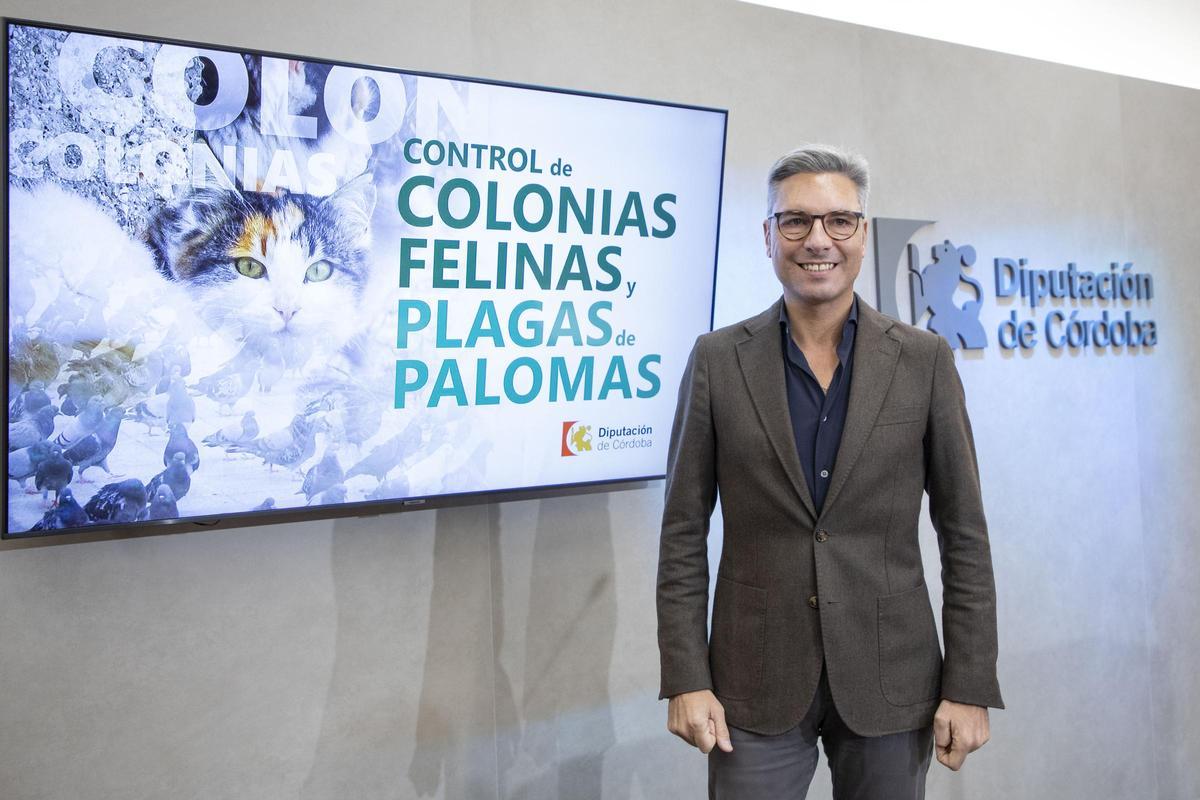 Andrés Lorite presenta la campaña para actuar en colonias felinas y plagas de palomas.