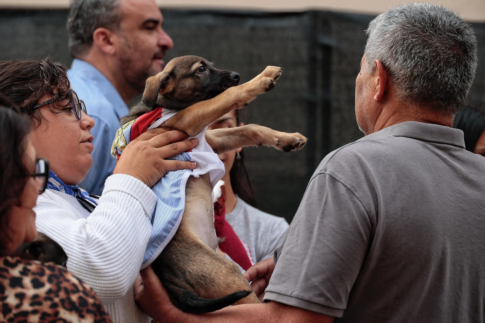Feria de la Adopción Responsable de Animales de Compañía