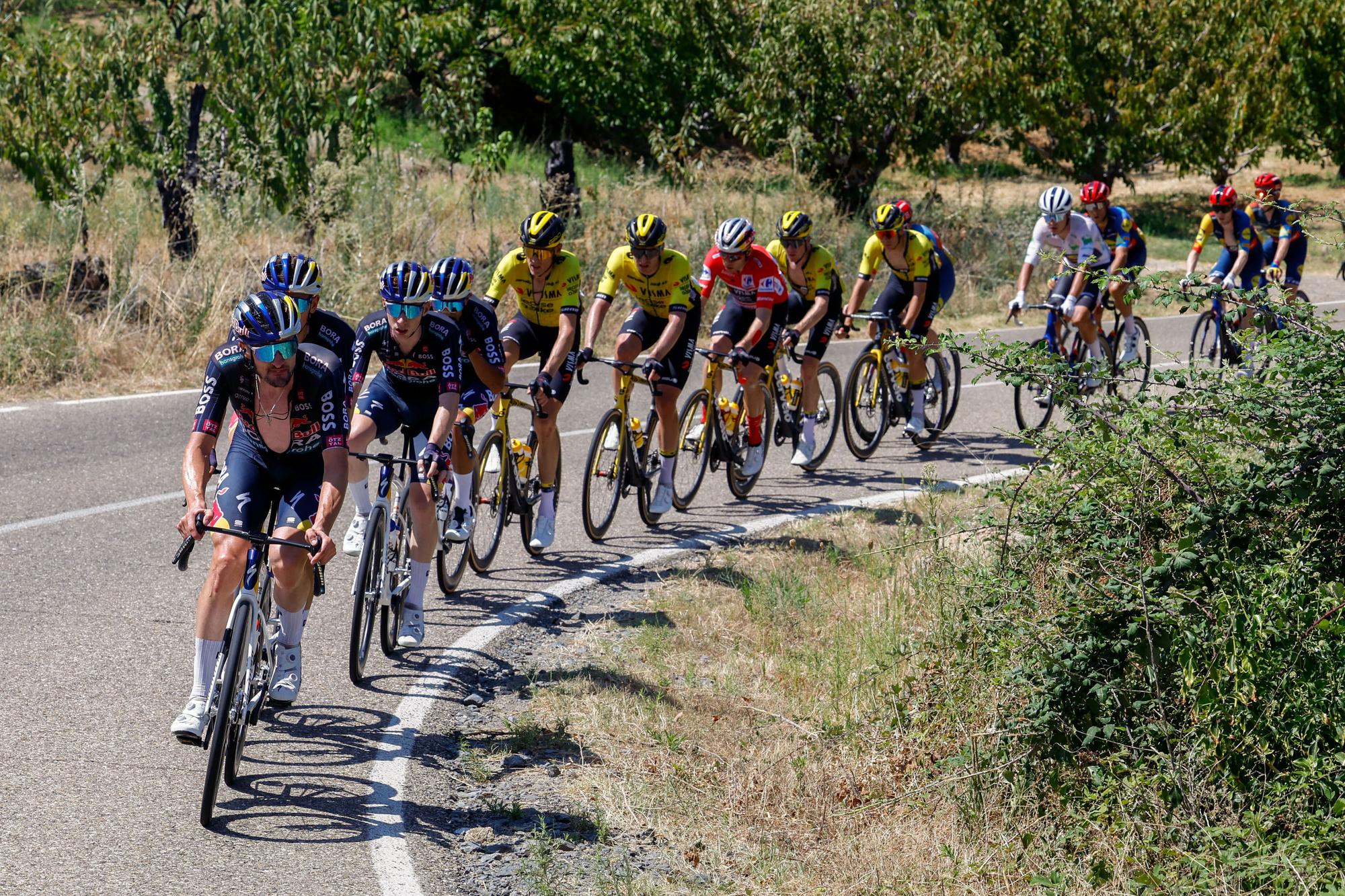 Vuelta ciclista a España